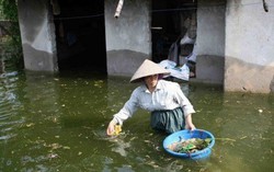 Phòng chống các dịch bệnh có nguy cơ lây truyền trong mùa mưa lũ