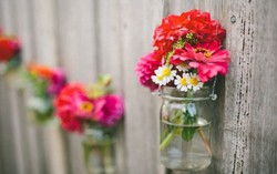 Bị chàng cưa đổ bằng những khóm hoa