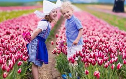 Nao lòng trước muôn hoa đua sắc của mùa xuân châu Âu