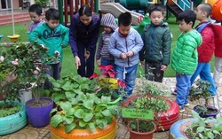So sánh khiến mẹ con cùng khổ