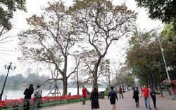 Tháng Ba dự báo có khoảng 3-4 đợt không khí lạnh