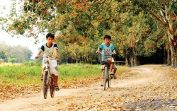 Cho con về quê, tuyệt đối không quên dạy trẻ kỹ năng 'giao thông đường làng'