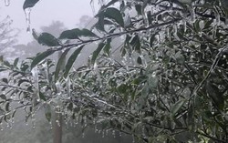 Mẫu Sơn xuất hiện băng giá