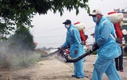 Thêm 2 phụ nữ Việt nhiễm virus Zika