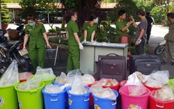 Vụ bắt nửa tấn ma túy Ketamine: Nhiều tháng ròng rã đeo bám phá án