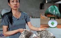 Gần 20 năm sống khổ của người dân quanh bãi rác Nam Sơn