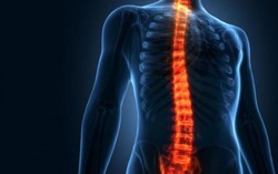 Hướng dẫn sơ cứu đúng cách với bệnh nhân bị chấn thương cột sống