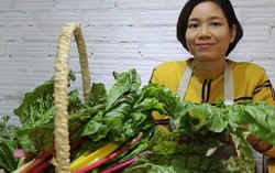 Đắt hơn cải thường 5 lần, cải cầu vồng vẫn 'cháy hàng' 