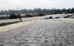 Nghệ An: Đi bắt cá sau bão, bé trai lớp 4 đuối nước thương tâm