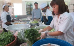 Hơn 68.000 cơ sở vi phạm về an toàn thực phẩm