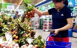 Saigon Co.op hỗ trợ tiêu thụ 500 tấn vải cho nông dân 