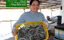 Bà chủ vựa tôm tích cực chung tay xây dựng nông thôn mới