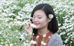 Hóa 'nàng thơ' ngọt ngào bên cúc họa mi trắng tinh khôi 