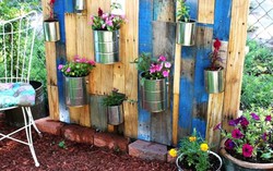Mảng tường hoa lãng mạn