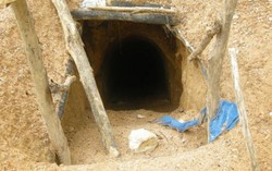 Đổi vàng bằng máu