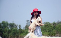 Thiếu nữ thích thú trải nghiệm đồng cừu Suối Nghệ chỉ với 50.000 đồng