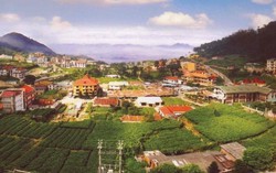 Tôi thích cuối tuần ở Tam Đảo