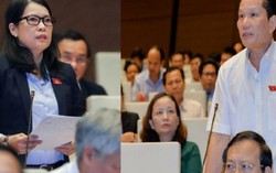 Đại biểu Quốc hội đề xuất lùi thời hạn giảm tỷ lệ lương hưu phụ nữ