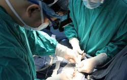 Chơi với chó con, bé 2 tuổi bị chó mẹ cắn nát mặt