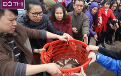  10 ngàn người tham gia phóng sinh hơn 5 tấn cá