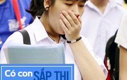 Cuộc đua vào 10, 'dê vàng' chịu áp lực từ giáo viên