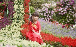 TPHCM: Hội hoa Xuân Kỷ Hợi 2019 sẽ kéo dài 12 ngày