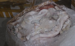 480 kg gân bò bốc mùi hôi thối được chuyển vào Nam tiêu thụ