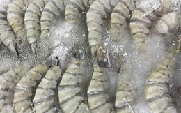 Tôm đông lạnh trong siêu thị có lớp đá dày nhằm tăng cân nặng? Sự thật lại quá bất ngờ!