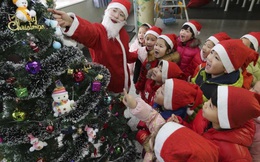 Đồ trang trí Noel đồng loạt giảm giá mạnh trước thềm Giáng sinh 