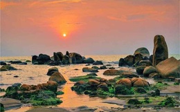 Khám phá vẻ đẹp như tranh thủy mặc của Bàu Trắng  