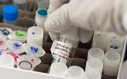 Nga sẵn sàng chia sẻ dữ liệu phát triển vắcxin ngừa Covid-19