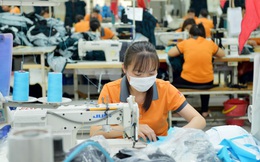 Dệt may Việt Nam tìm kiếm cơ hội ở thị trường nội địa