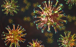 Việt Nam phát hiện biến thể mới virus SARS-CoV-2 giống ở Anh
