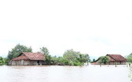 Mưa lũ gây thiệt hại nặng nề ở Đắk Lắk và Đắk Nông