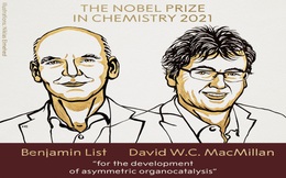 Giải Nobel Hóa học 2021 vinh danh nghiên cứu về xây dựng các phân tử