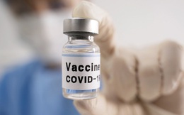 Lô vaccine Covid-19 đầu tiên sẽ về Việt Nam thế nào?