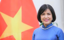 Đại sứ Lê Thị Tuyết Mai đại diện Việt Nam tham dự vòng đàm phán về trợ cấp thủy sản của WTO 
