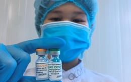Vaccine ngừa Covid-19 Nano Covax được nghiệm thu kết quả giai đoạn 1 và giữa kỳ giai đoạn 2
