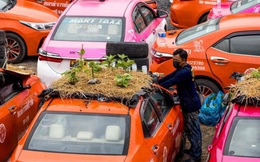 Thái Lan: Biến bãi xe taxi thành vườn rau giữa mùa dịch