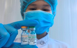Bộ Y tế: Vaccine Nano Covax của Việt Nam chưa có dữ liệu đánh giá hiệu quả bảo vệ