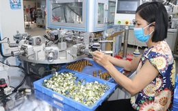 Lập Tổ công tác đặc biệt để tháo gỡ khó khăn cho doanh nghiệp, người dân bị ảnh hưởng bởi Covid-19