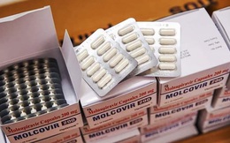 Những thông tin cần biết về thuốc Molnupiravir trị Covid-19