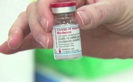 Mũi bổ sung vaccine Moderna bằng nửa liều tiêm