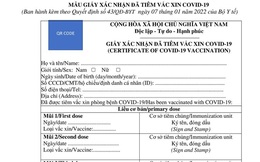 Có phải người dân sẽ tiêm 7 mũi vaccine Covid-19?