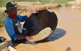 Nghề đào kim cương ở Indonesia: Đánh cược mạng sống 