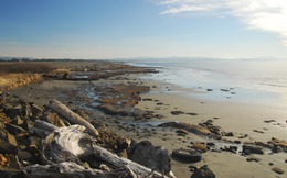 Kế hoạch chinh phục thiên nhiên bảo vệ bờ biển của 1 thị trấn ở Mỹ trước nguy cơ xói mòn
