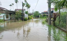 Tập trung khắc phục hậu quả và chủ động ứng phó với áp thấp nhiệt đới, mưa lũ tại miền Trung 