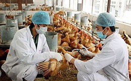 Sức khỏe bé 5 tuổi mắc cúm A/H5 hiện ra sao?