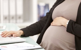 Lao động nữ đang mang thai có bị xử lý kỷ luật?