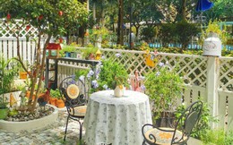 Biến mảnh sân cỏ mọc um tùm thành khu vườn đa sắc